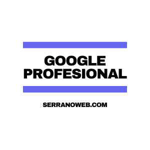Google plan profesional